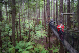 New Zealand 2025 (1 group) (46/66)